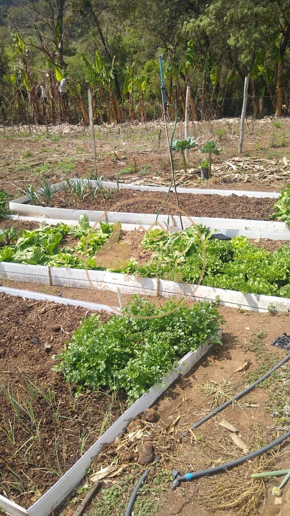 residential-/-farm-ranch-3-quartos-bom-retiro-caldas-mg