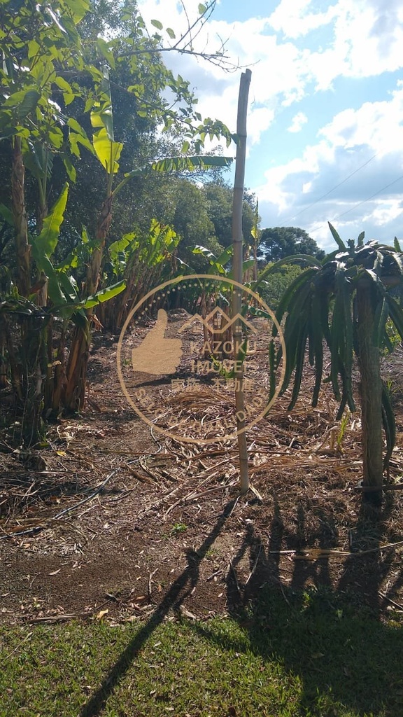 residential-/-farm-ranch-3-quartos-bom-retiro-caldas-mg