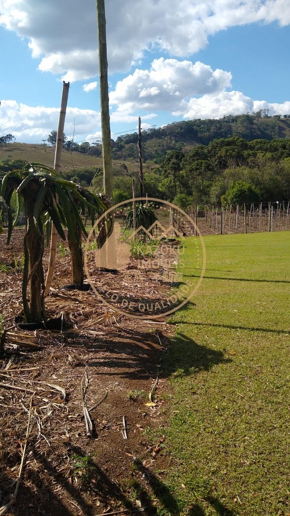 residential-/-farm-ranch-3-quartos-bom-retiro-caldas-mg