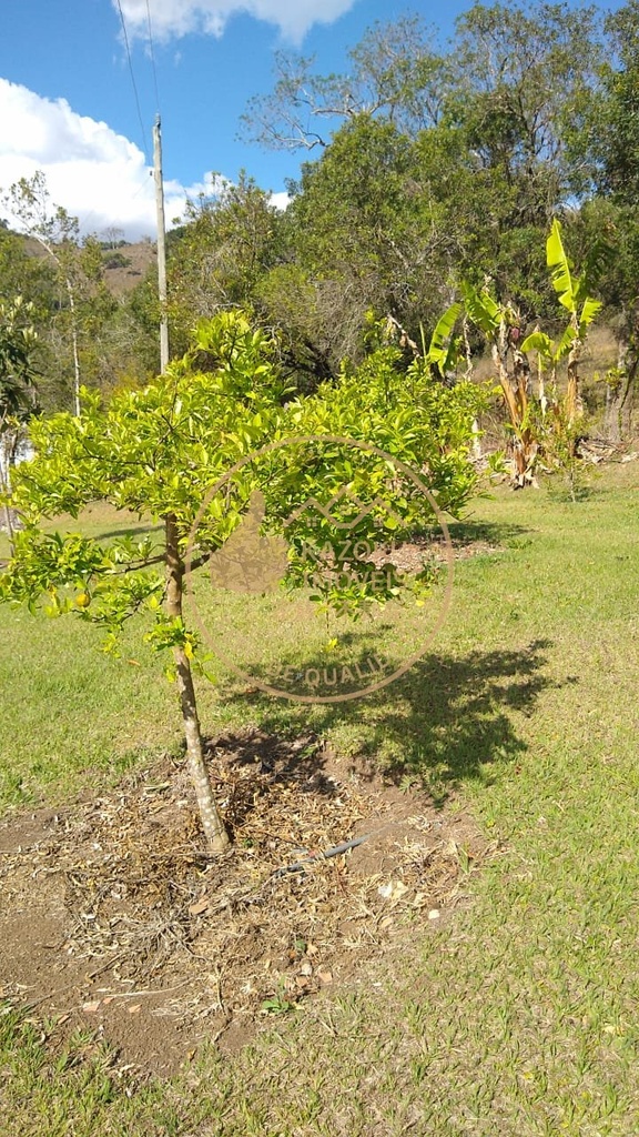 residential-/-farm-ranch-3-quartos-bom-retiro-caldas-mg