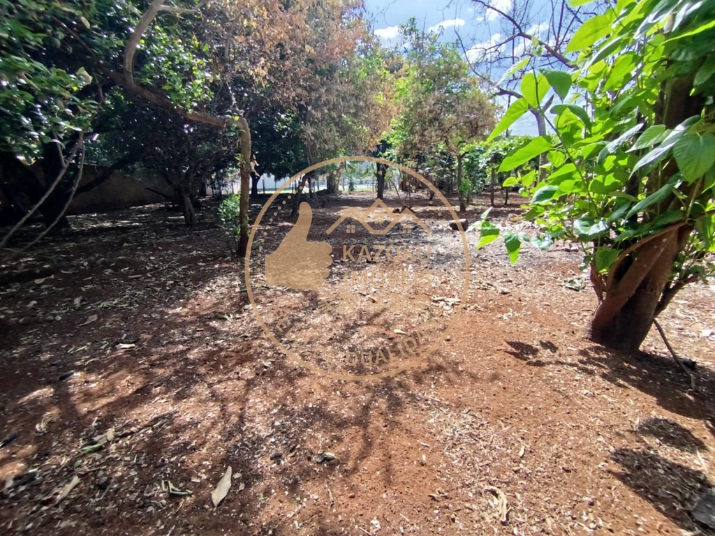 residential-/-farm-ranch-3-quartos-vila-monte-verde-franca-sp